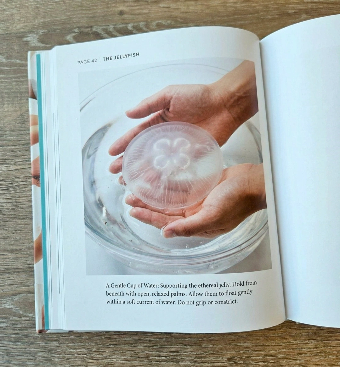 nano-banana-2 (16).webp